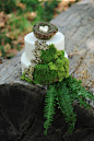 森系婚礼蛋糕,蕨类植物,苔藓,