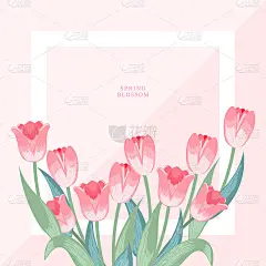 Spring blossom图片_其他图片图片素材-花瓣网