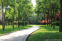 流光碎影中的青春飞过夏天采集到景观——道路街景/铺装