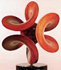 Esta imagen me gusta mucho debido a que se ve una figura que se enreda sobre sí misma formando un tipos de pétalos de una flor, cada persona puede tener una perspectiva diferente ya que es una escultura en la que depende de por donde la mires formará una 