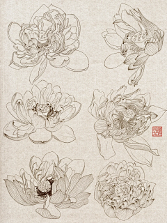 啾啾一口软糖采集到线稿