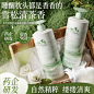 TOCI积雪草洗发水控油蓬松去屑止痒柔顺改善毛躁持久留香洗头膏-tmall.com天猫