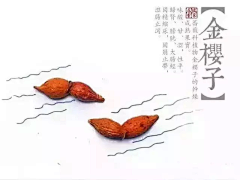 大叉子采集到中药