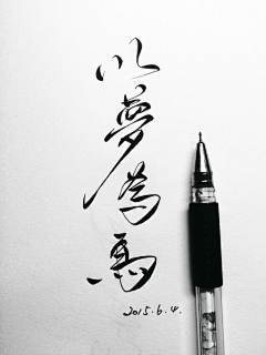 花瓣刘平采集到字体