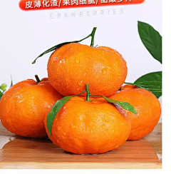 Kuguma采集到袋鼠