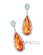 蒂芙尼 (Tiffany & Co.) 2014年Blue Book高级珠宝系列珠宝
耳环