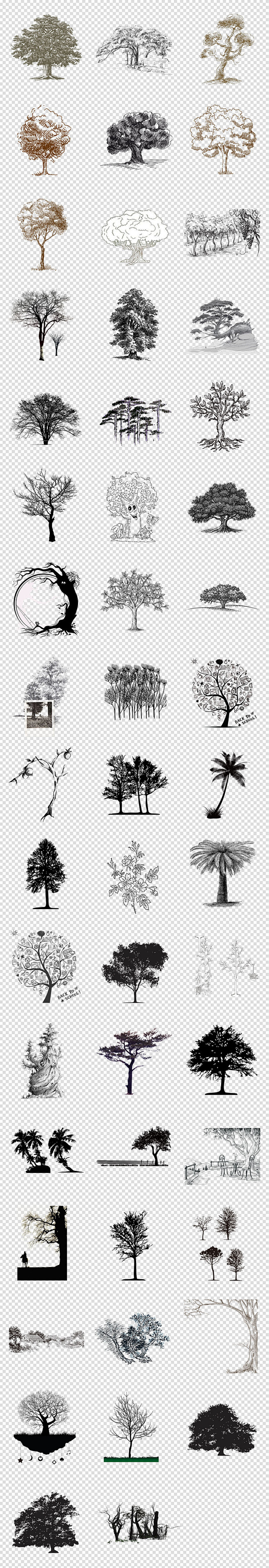 手绘素描树黑白树简笔树PNG免抠素材