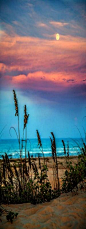 The Moon And The Sunset At South Padre Island Photograph: 