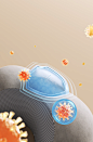 webp (24)