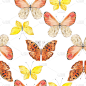 无缝图案与彩色水彩蝴蝶在白色的背景。