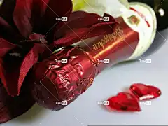 起泡酒 美丽的花朵 小红帽 高清壁纸 自然 花壁纸 心 浪漫