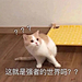 用户BVaRLlwp