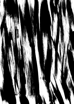 Zzzyder采集到笔触