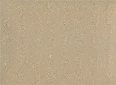 【图】浅咖色简约风格花纹墙壁纸图片-阳光无限壁纸