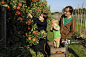 Family picking apples in orchard_创意图片