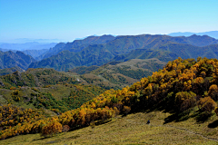 kengi2008采集到塔尔寺黄草梁赏秋