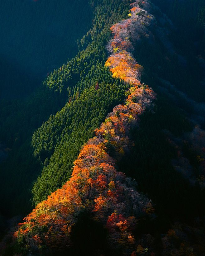 autumn japan Landsca...