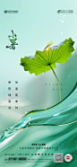 小暑海报