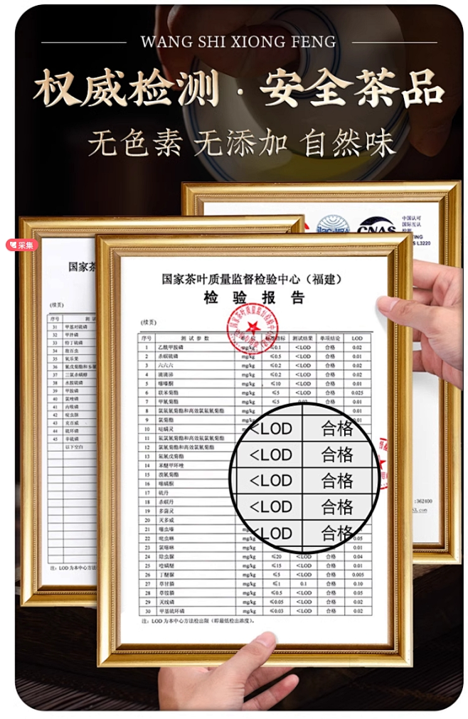 信阳原产毛尖茶叶2024年新茶特级明前炒...