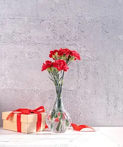 五月母亲节手工礼品盒祝愿摄影-美丽盛开的康乃馨与红丝带盒隔离在白面灰色背景书桌，近距离，复制空间，模