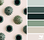 Design Seeds : Your daily dose of inspiration ... for all who love color.