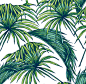 绿色手绘植物插画