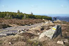 波兰Karkonosze国家公园，在一块岩石上绘制的徒步小径标记。