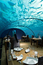 The world’s first ever undersea restaurant called #Ithaa ( which translate as “pearl” in the natives’ language in Maldives, Dhivehi ) brought to you by Hilton Maldives Resort & Spa.