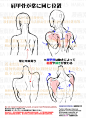 #漫画素材工房 個人メモ：肩甲骨 - 漫画素材工房的插画