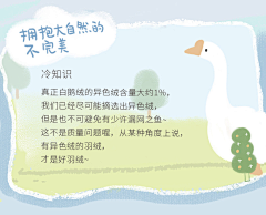 勤快的北冰洋采集到面料内里解析