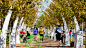 Klyde Warren Park | OJB Landscape Architecture : Klyde Warren Park, a 5.2-acre deck park in downtown Dallas that spans the Woodall Rodgers Freeway, serves as an important pedestrian connection between the Central Business District, Uptown and the burgeoni