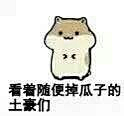 起名字神马的好麻烦采集到仓鼠