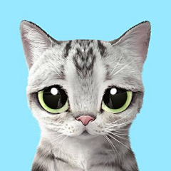 米皮er丶采集到我爱的猫和别人爱的猫是一样的猫