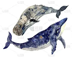 水彩画鲸鱼手绘的图画孤立在白色背景上。动物水彩画轮廓草图。手绘艺术图解。面料、 T恤、明信片、贺卡、