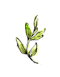 唯美手绘水彩绿色花卉花朵叶子婚礼卡片请柬海报免扣PNG图案素材 (53)