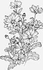 This contains an image of: 