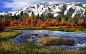 autumn-mountain-stream-windows-8-wallpaper-1280x800