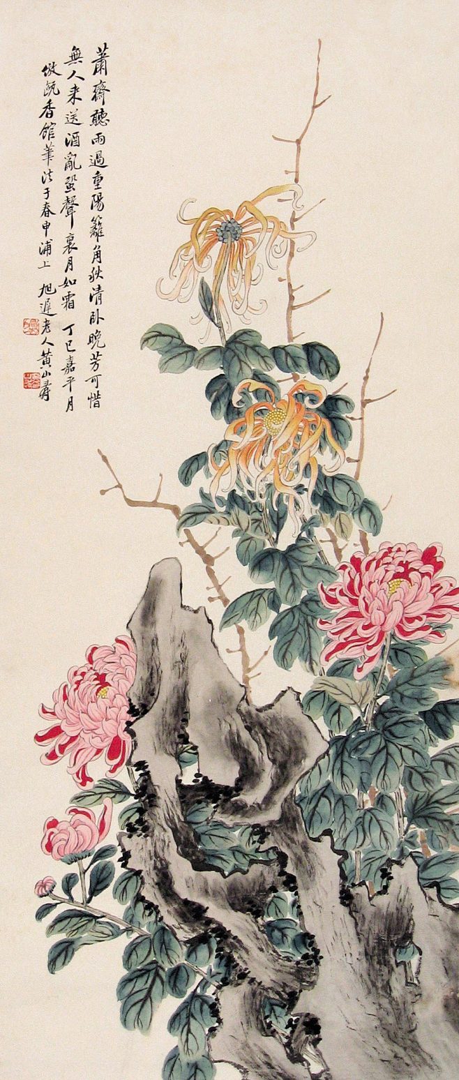 工笔花鸟菊花