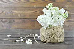 父亲节,贺卡,母亲节,丁香花,美,水平画幅,夏天,生日,线绳,想法