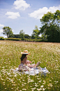 Daylesford, Cotswolds... this would be a dream, but unfortunately I'm allergic to daisies. :(