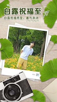 SP相机银杏照片白露节气祝福晒照