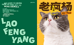 yingkongshi采集到包装