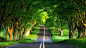 ID-937303-高清晰绿色树林公路赛道壁纸高清大图