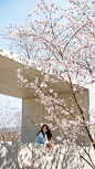 白鹭湾·樱花小院，一个梦幻的现代住宅社区 | 深度报道 – mooool木藕设计网