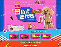 悦如茜采集到首页