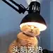 采集图片