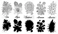 轮廓,鸢尾,黑白图片,剑兰,天竺葵,向日葵,三叶草,华丽的,请柬,贺卡