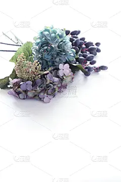秋天,花束,华丽的,周年纪念,请柬,贺卡,婚礼,葡萄,八仙花属,住宅内部
