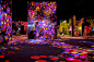 teamLab Borderless Hamburg: Digital Art Museum | teamLab : 2024 OPEN Digital Art Museum, Hamburg