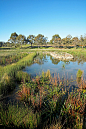 澳大利皇家湿地公园景观设计简介_澳大利皇家湿地公园景观设计图片_澳大利皇家湿地公园景观设计应用_景观中国